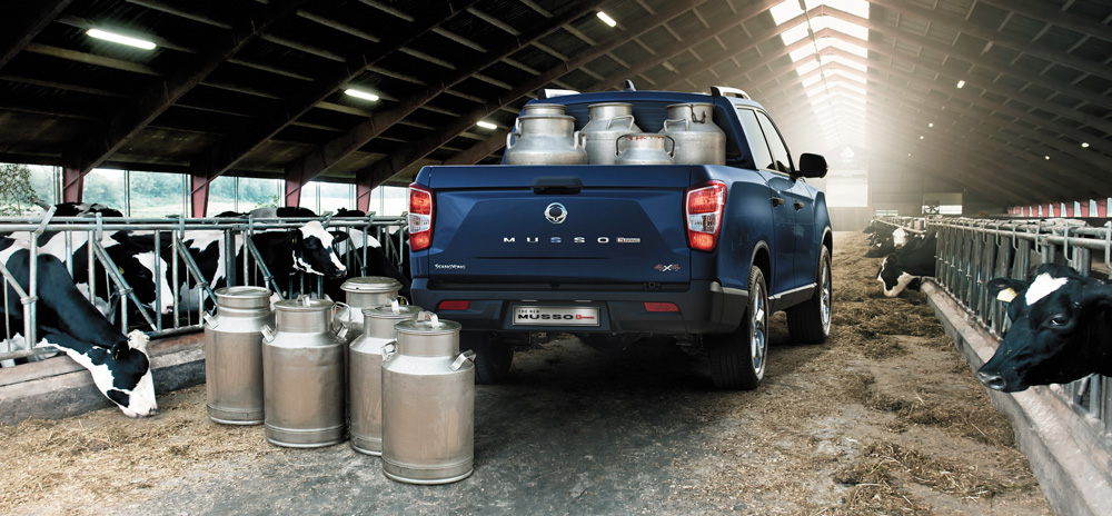SsangYong MUSSO - Autofortas motors SsangYong atstovas Kaune